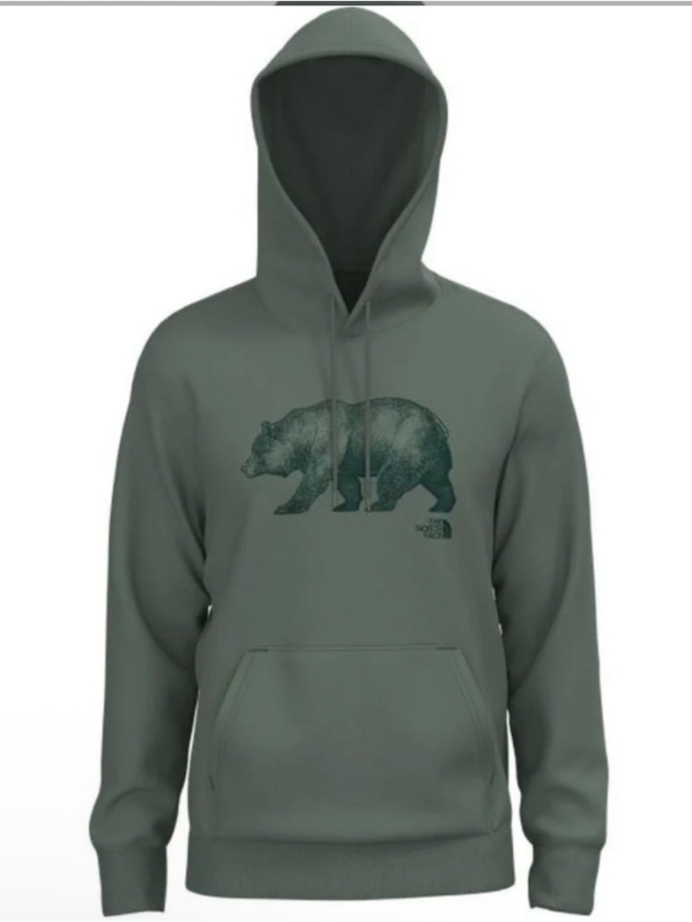 The North Face Men's Olive Green Bear Graphic Hoodie